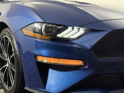 2022 Ford Mustang EcoBoost