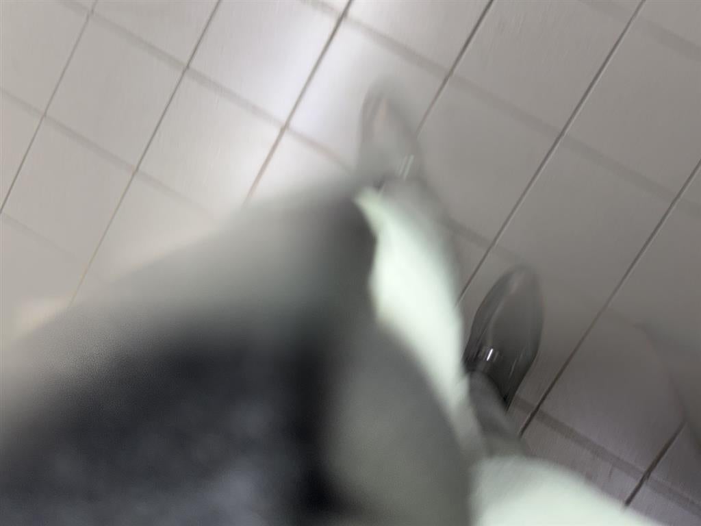 2022 BMW X3 M Sports Activity Vehicle