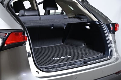 2020 Lexus NX 300 Luxury