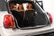 2023 MINI Cooper S Base