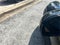 2026 MINI Cooper S Signature Plus 4 Door