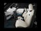 2027 MINI 4 DOOR SIGNATURE PLUS