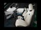 2027 MINI 4 DOOR SIGNATURE PLUS