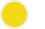 Sunny Side Yellow